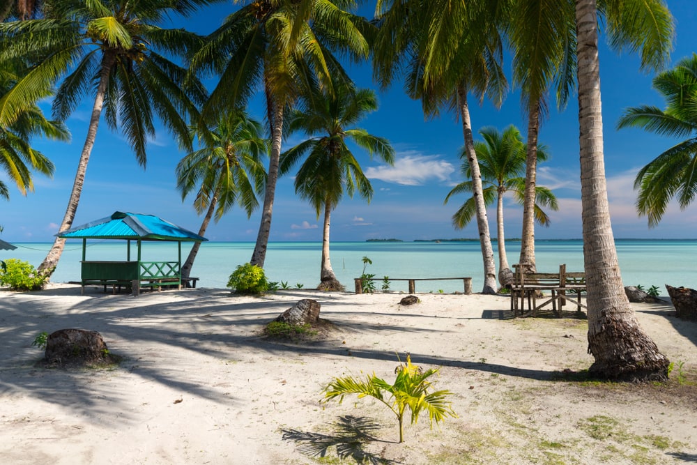 5 Tujuan Wisata Alam di Indonesia